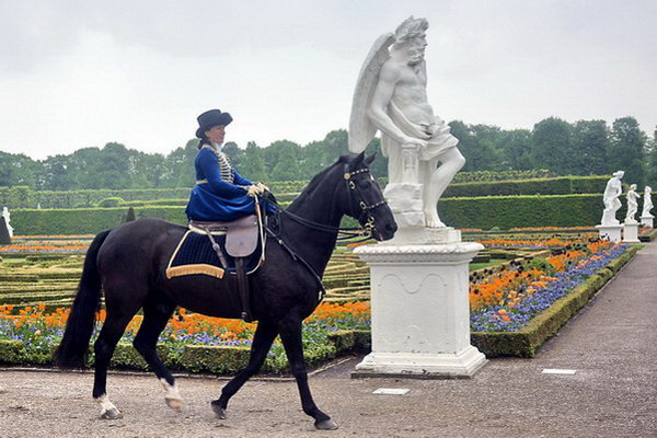 Kurfuerst   094.jpg